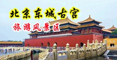 老美妇老穴嫩12p中国北京-东城古宫旅游风景区